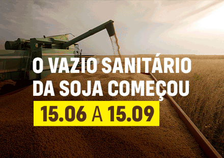 Banner Campo Grande / Principal 2 iagro
