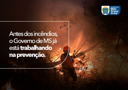 Banner Campo Grande / Principal 3 Queimadas