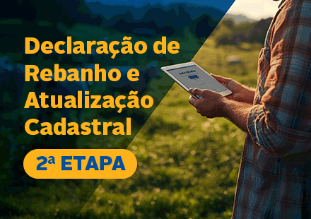 Home Principal Campo Grande 7 IAGRO