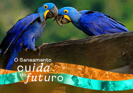 Home Principal Campo Grande Aguas